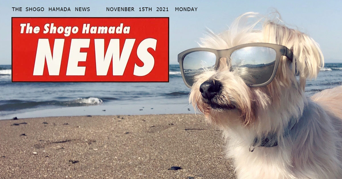 The Shogo Hamada NEWS 11月15日